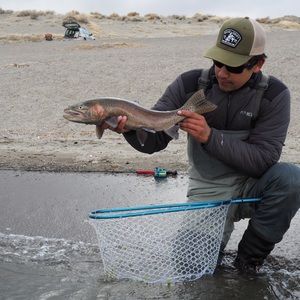 Meet your Posher, Kyle